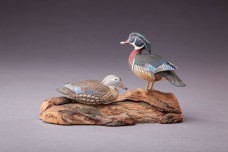 /userimg/ox18L/Wood Duck Pair Allen James King.jpg